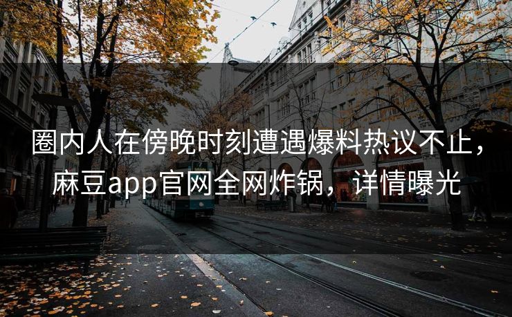 圈内人在傍晚时刻遭遇爆料热议不止，麻豆app官网全网炸锅，详情曝光