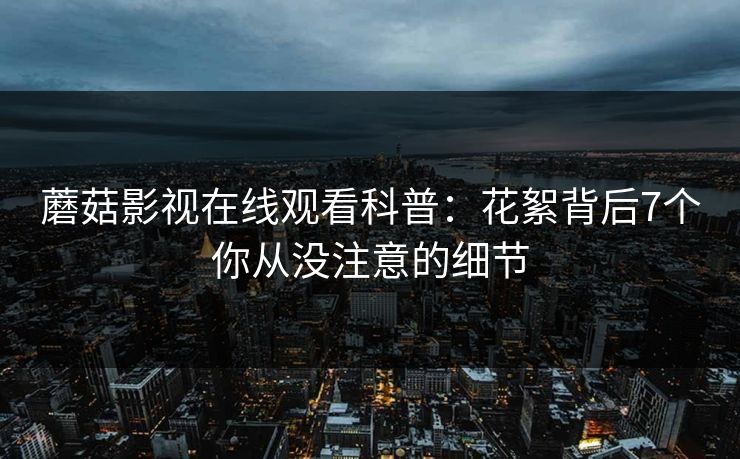蘑菇影视在线观看科普：花絮背后7个你从没注意的细节