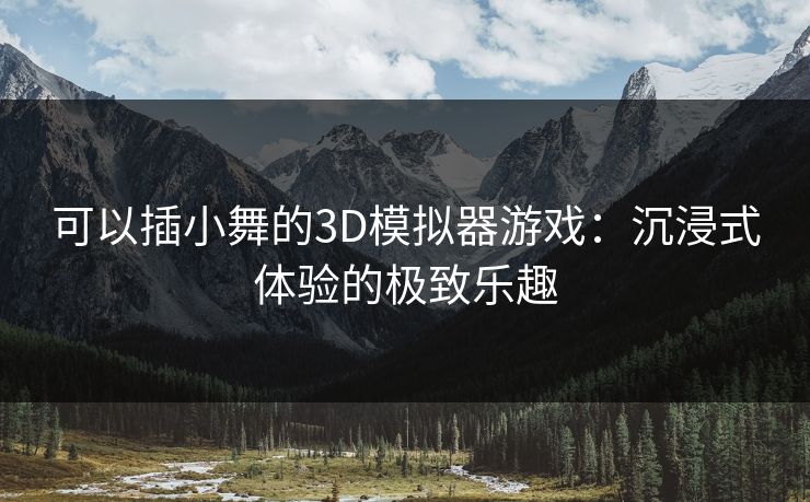 可以插小舞的3D模拟器游戏：沉浸式体验的极致乐趣