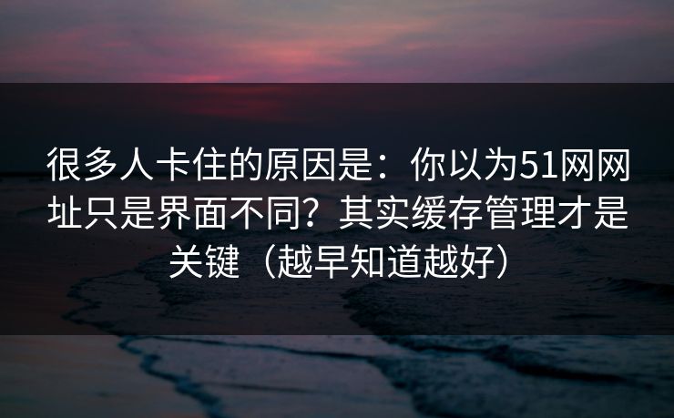 很多人卡住的原因是：你以为51网网址只是界面不同？其实缓存管理才是关键（越早知道越好）